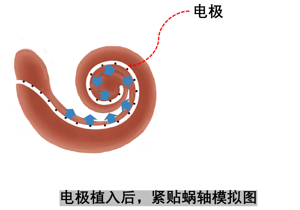 寰俊鍥剧墖_20210131164109.png