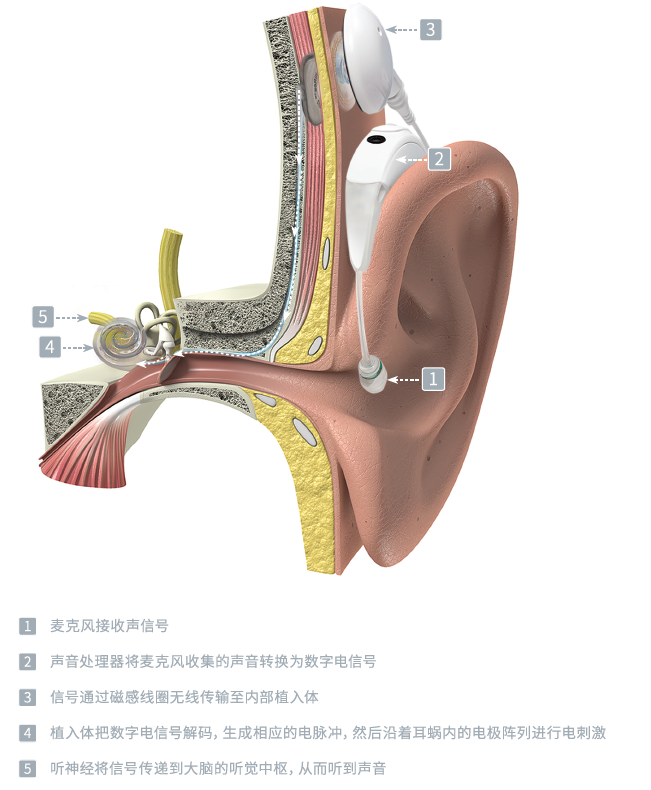 寰俊鍥剧墖_20210818193907.png