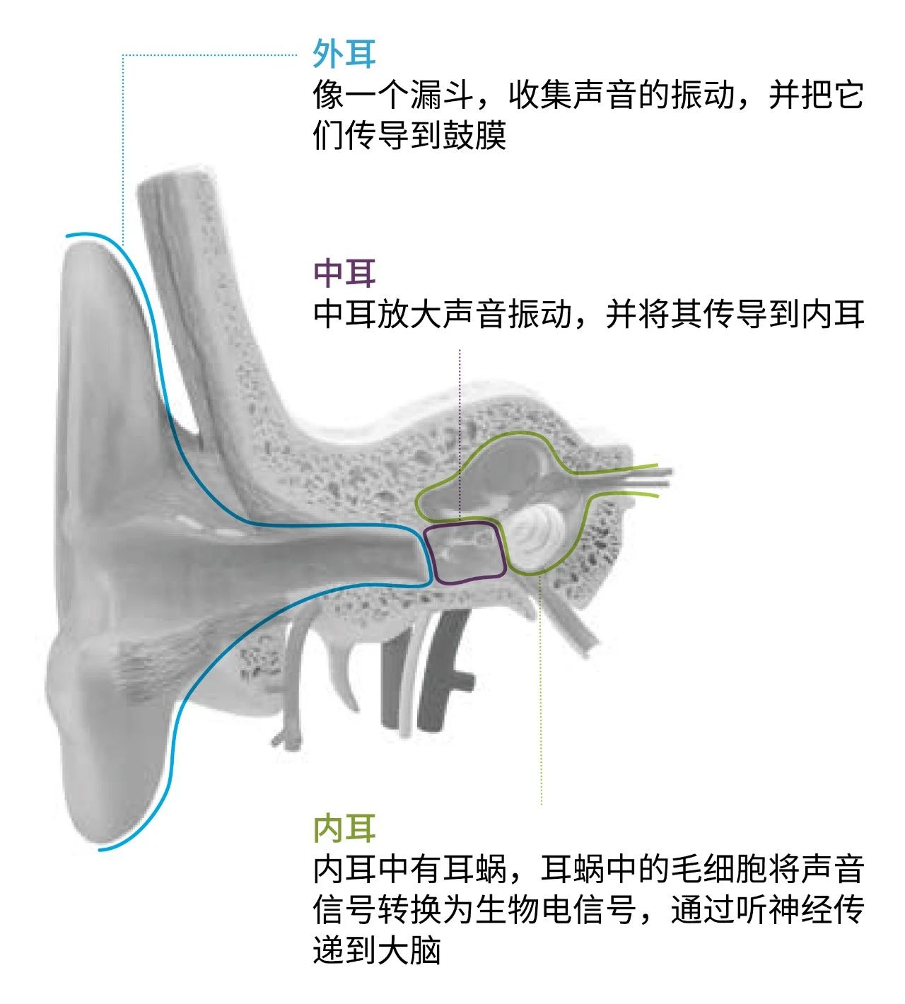 寰俊鍥剧墖_20210818193856.jpg