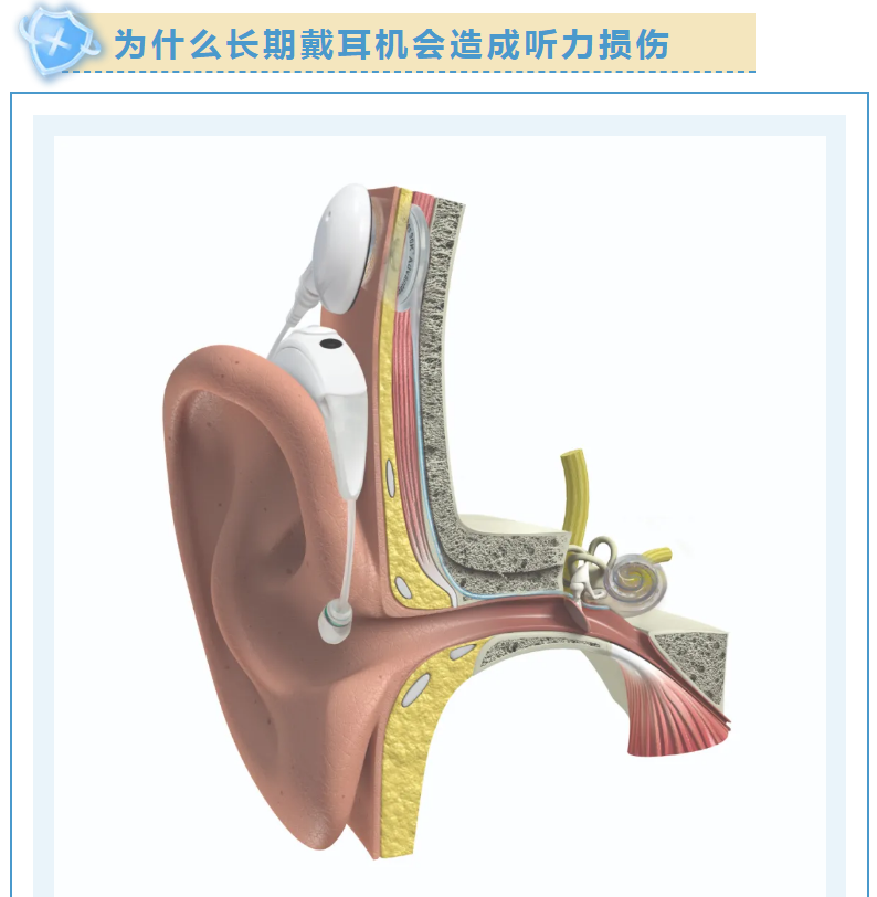 微信图片_20220219212856.png