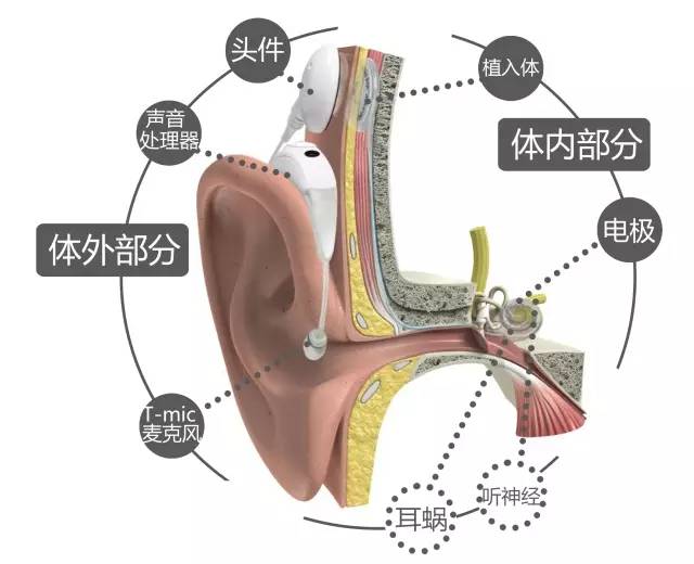 微信图片_20230424155921.jpg