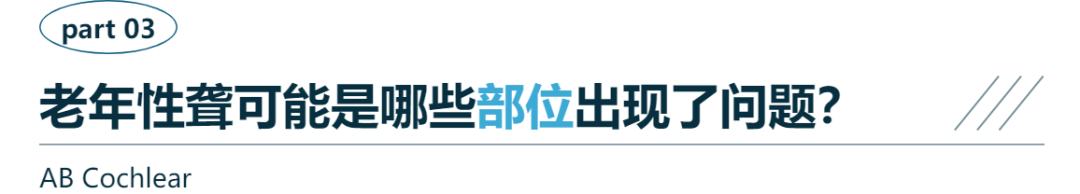 微信图片_20240920125234.png