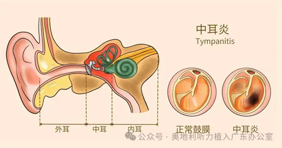 微信图片_20250108205126.png